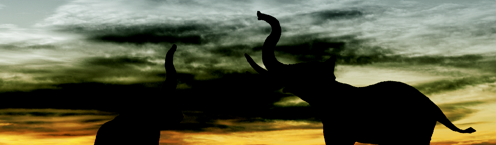 elephants.png