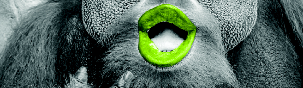 monkey .png